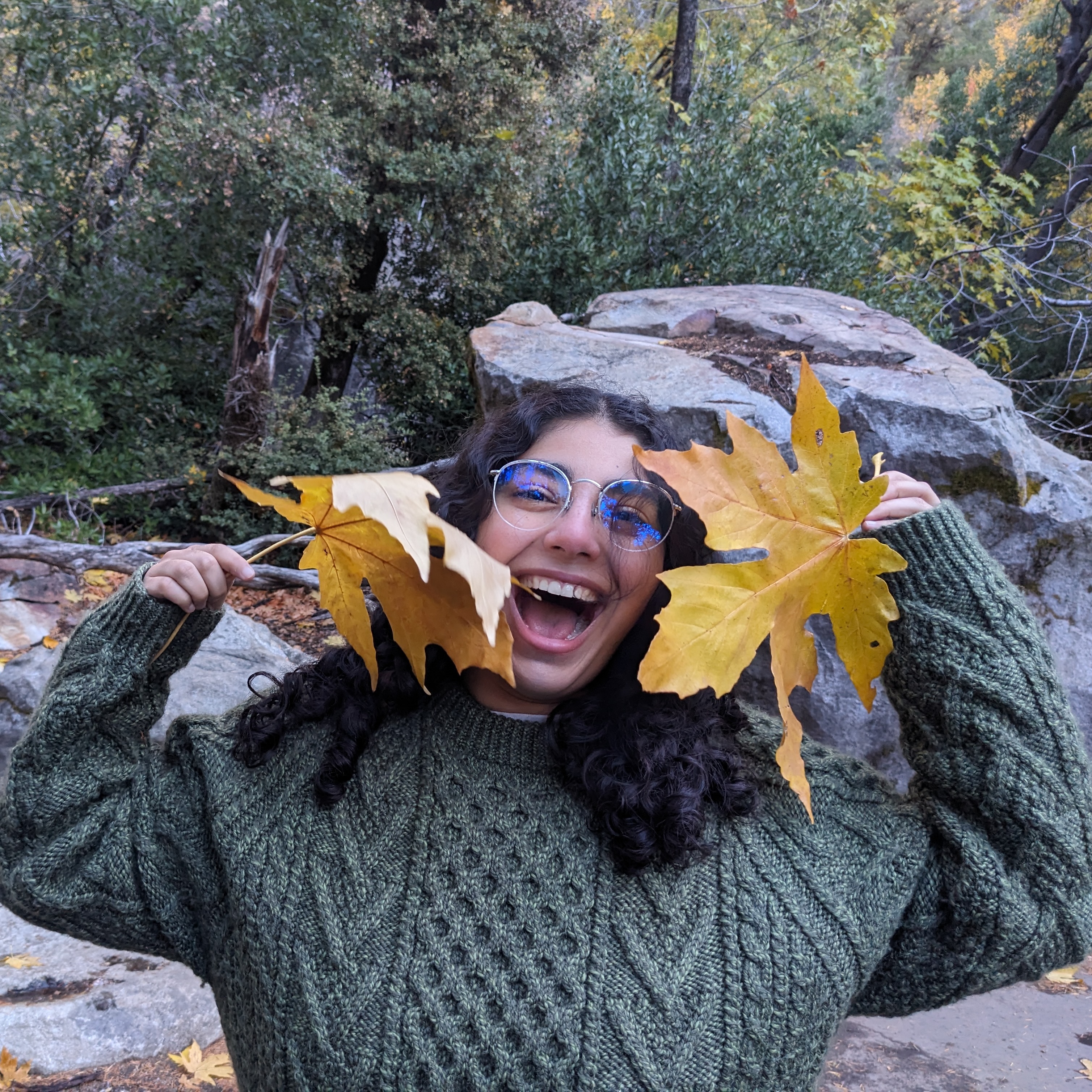 Reema Rafifar profile photo